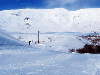 �ɐ��R�X�L�[��F���ꂽ�u��