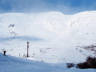 �ɐ��R�X�L�[��F�ɐ��R