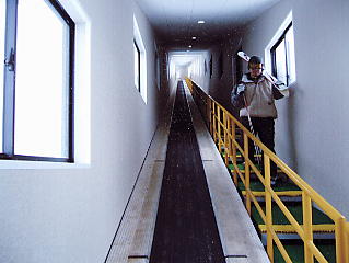 ���ɐ��X�L�[��̃A���J���f