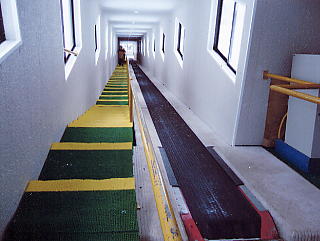 ���ɐ��X�L�[��F�A���J���f�������ォ��