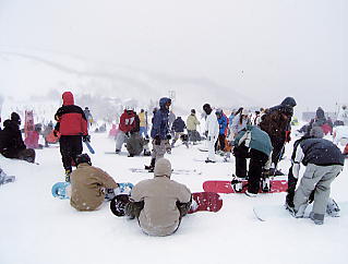 ���i�΃o���C�F�Ō����t�g����