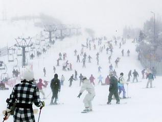 ���i�΃o���C�F�����͒n����