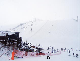 �т�΃o���C�F�H���R�͂����Ă���