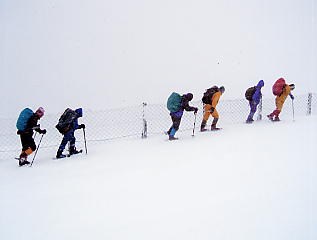 �т�΃o���C�F�o�R��