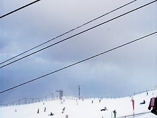 �т�΃o���C�F���i�΂�