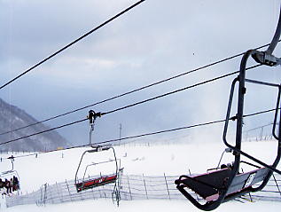 ���i�΃o���C�F���i�΂���������