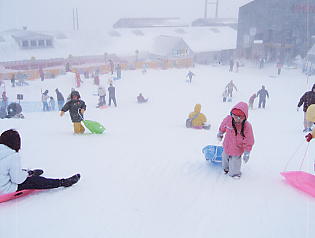 �т�΃o���C�F�q���͌��C