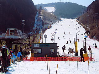 �V�R���]�[�g�F���C���R�[�X