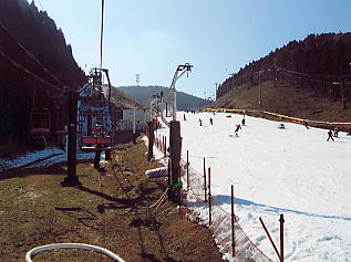 �V�R���]�[�g�F