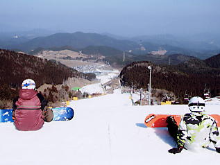 �V�R���]�[�g�F�i�F