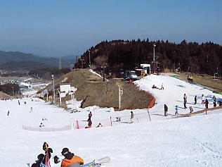 �V�R���]�[�g�F