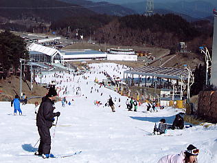 �V�R���]�[�g�F