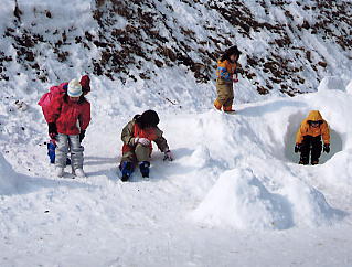 �܃����n�C�����h�F