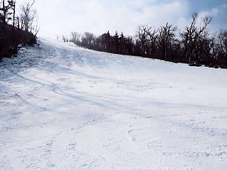 �܃����n�C�����h�F