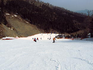 �܃����n�C�����h�F