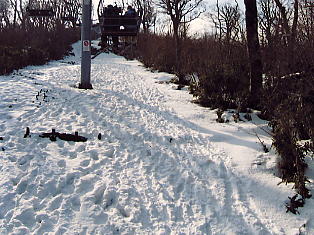 �܃����n�C�����h�F