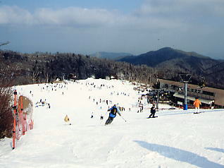 �܃����n�C�����h�F