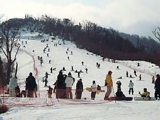 �܃����n�C�����h�F