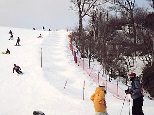 �܃����n�C�����h�F