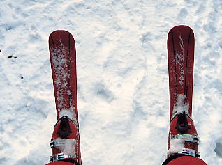 �܃����n�C�����h�F