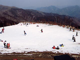 �܃����n�C�����h�F