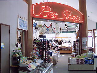 �܃����n�C�����h�F