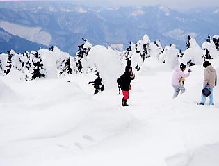 �������݂���F���X��