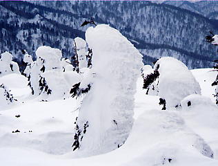 �������݂���