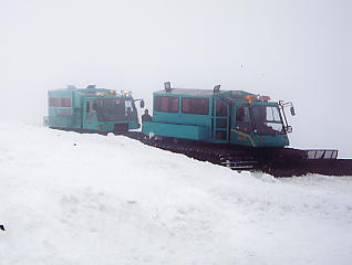 �������݂���