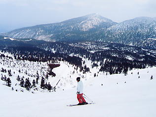 �������݂���