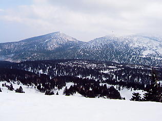 �������݂���