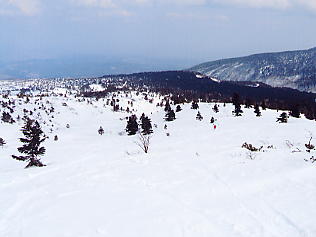 �������݂���