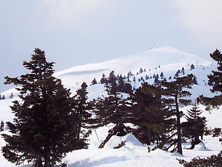 �������݂���