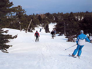 �������݂���