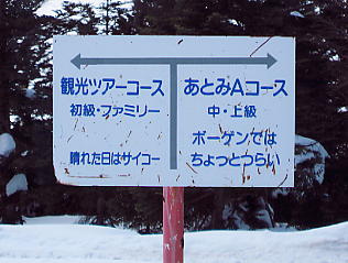 �������݂���