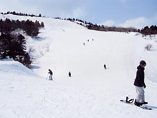 �������݂���