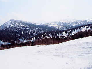 �������݂���