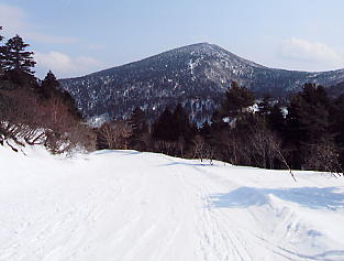 �������݂���