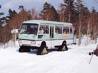 �������݂���