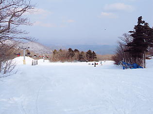 �������݂���