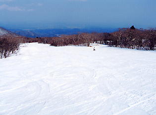 �������݂���