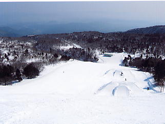 �������݂���