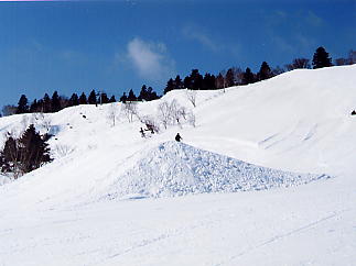 �������݂���