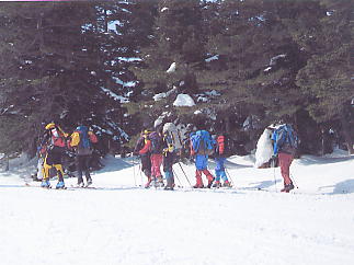 �������݂���