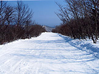 �������݂���