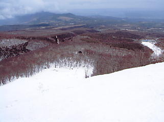 �������΁F�X�L�[