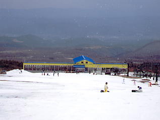 �������΁F�X�L�[