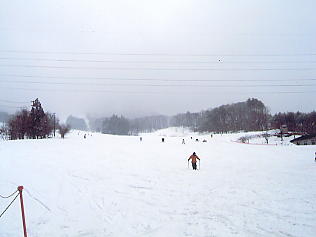 ���������h�F�X�L�[