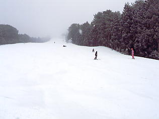 ���������h�F�X�L�[