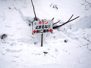 ���������h�F�X�L�[